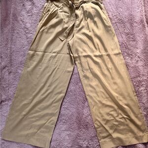 Banana Republic Wide Leg Paper Bag Pants